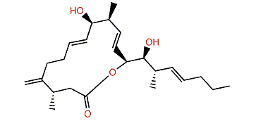 Amphidinolide R